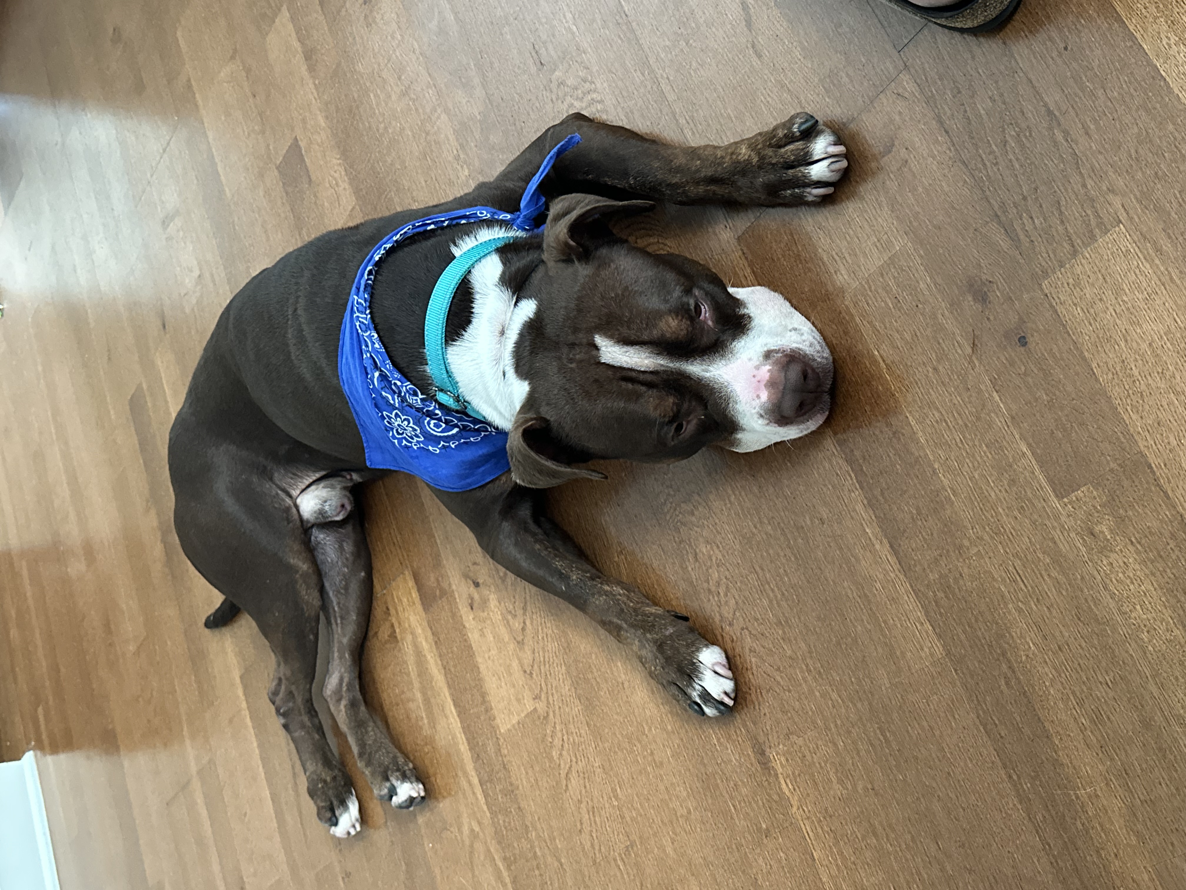 Lenny being rejected